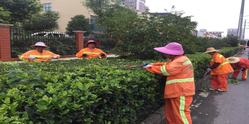 新站區(qū)道路清掃保潔、綠化管養(yǎng)項(xiàng)目