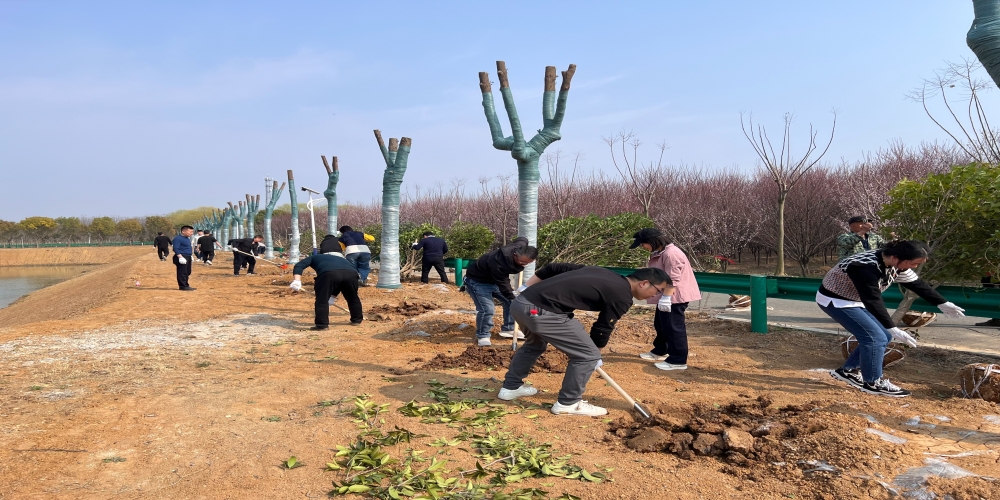 黨建引領(lǐng)共植綠 凝心聚力譜新篇 ——和合生態(tài)、德嘉置業(yè)黨支部赴小廟基地義務(wù)植樹